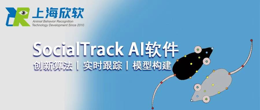 SocialTrack AI 多动物交互行为分析软件