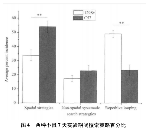 屏幕截图 2024-02-20 103350.png