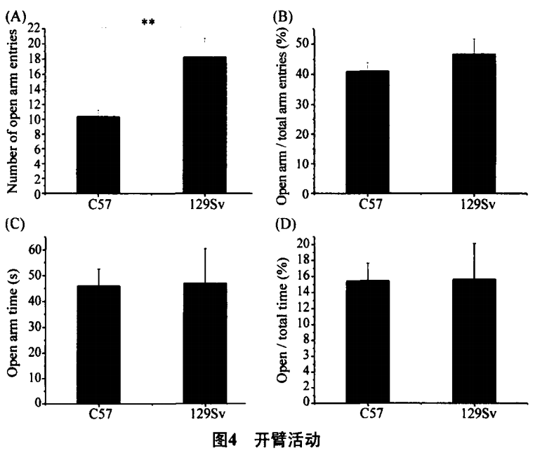 屏幕截图 2024-02-21 112612.png