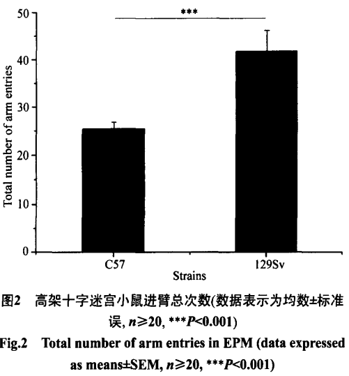 屏幕截图 2024-02-21 111901.png